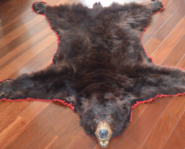 Authentic Vintage Black Bear Skin Rug