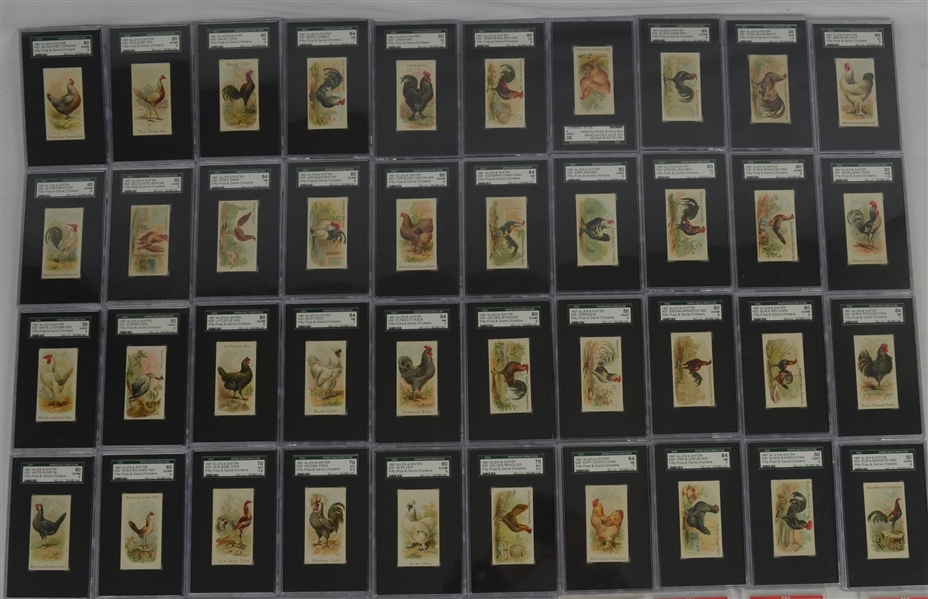 1891 N20 Allen & Ginter Prize & Game Chickens Complete Graded Card Set 