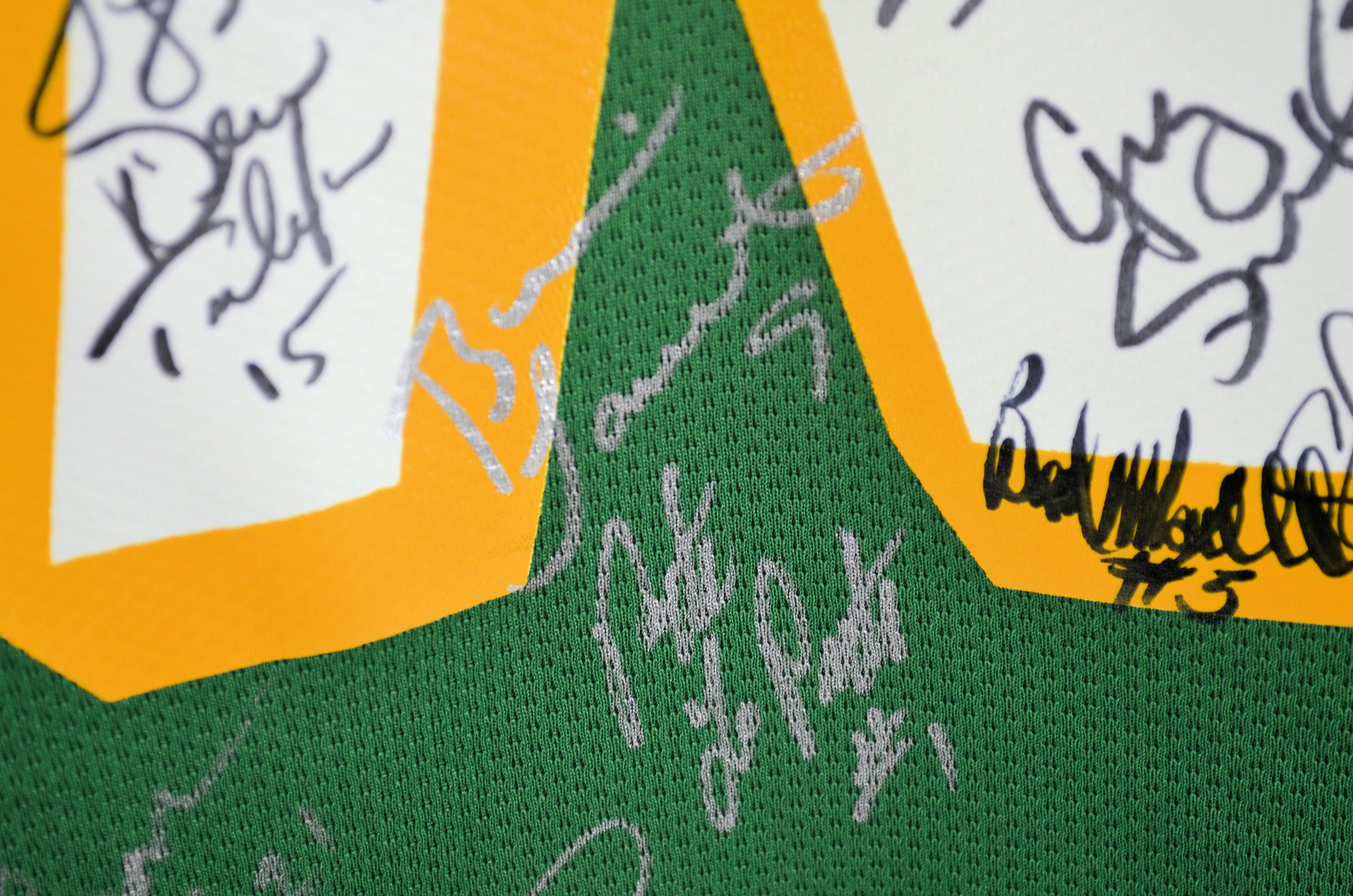 Lot Detail - Minnesota North Stars Legends Signed Jersey w/30