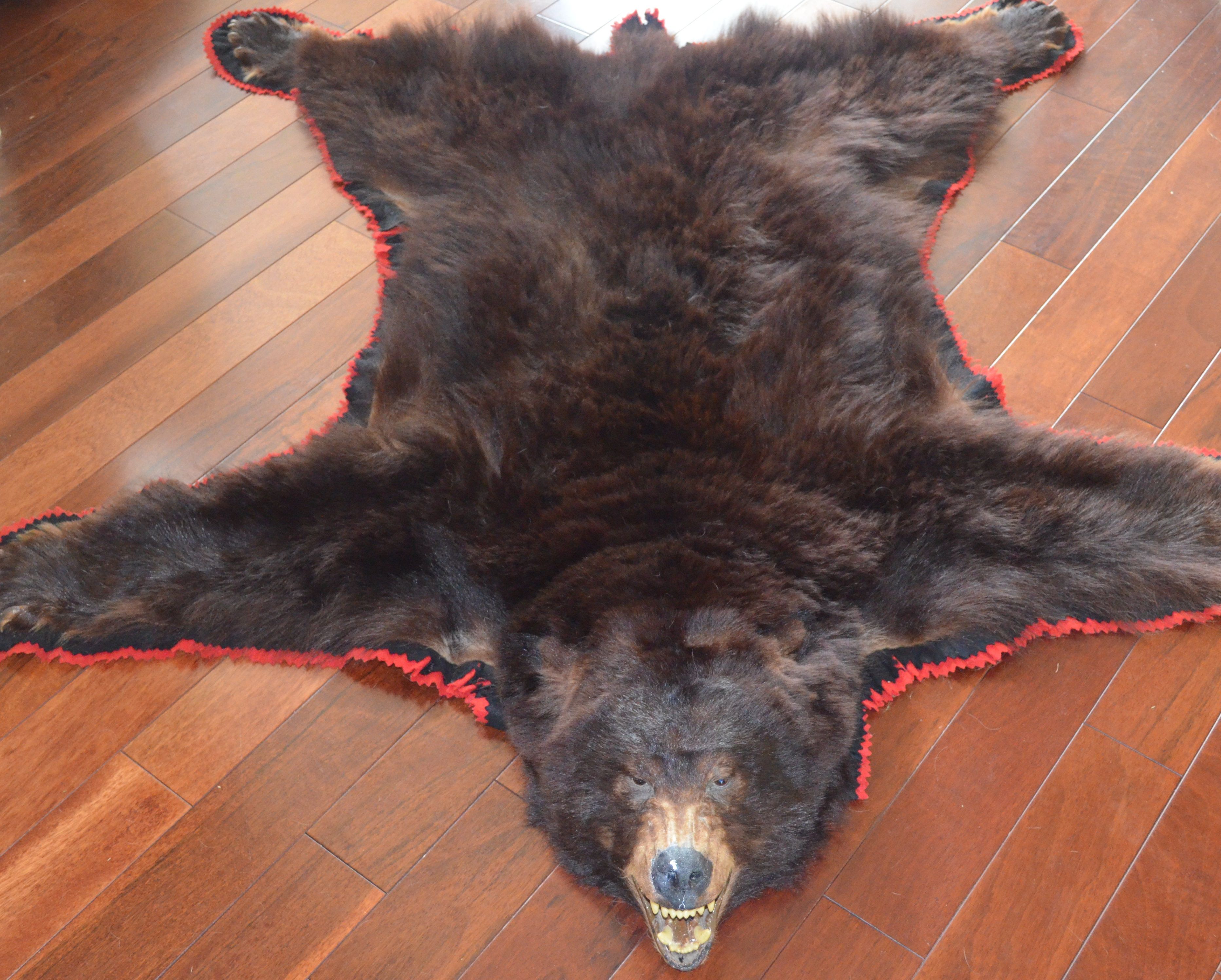 Authentic Vintage Black Bear Skin Rug, How To Tell If A Bear Skin Rug Is Real