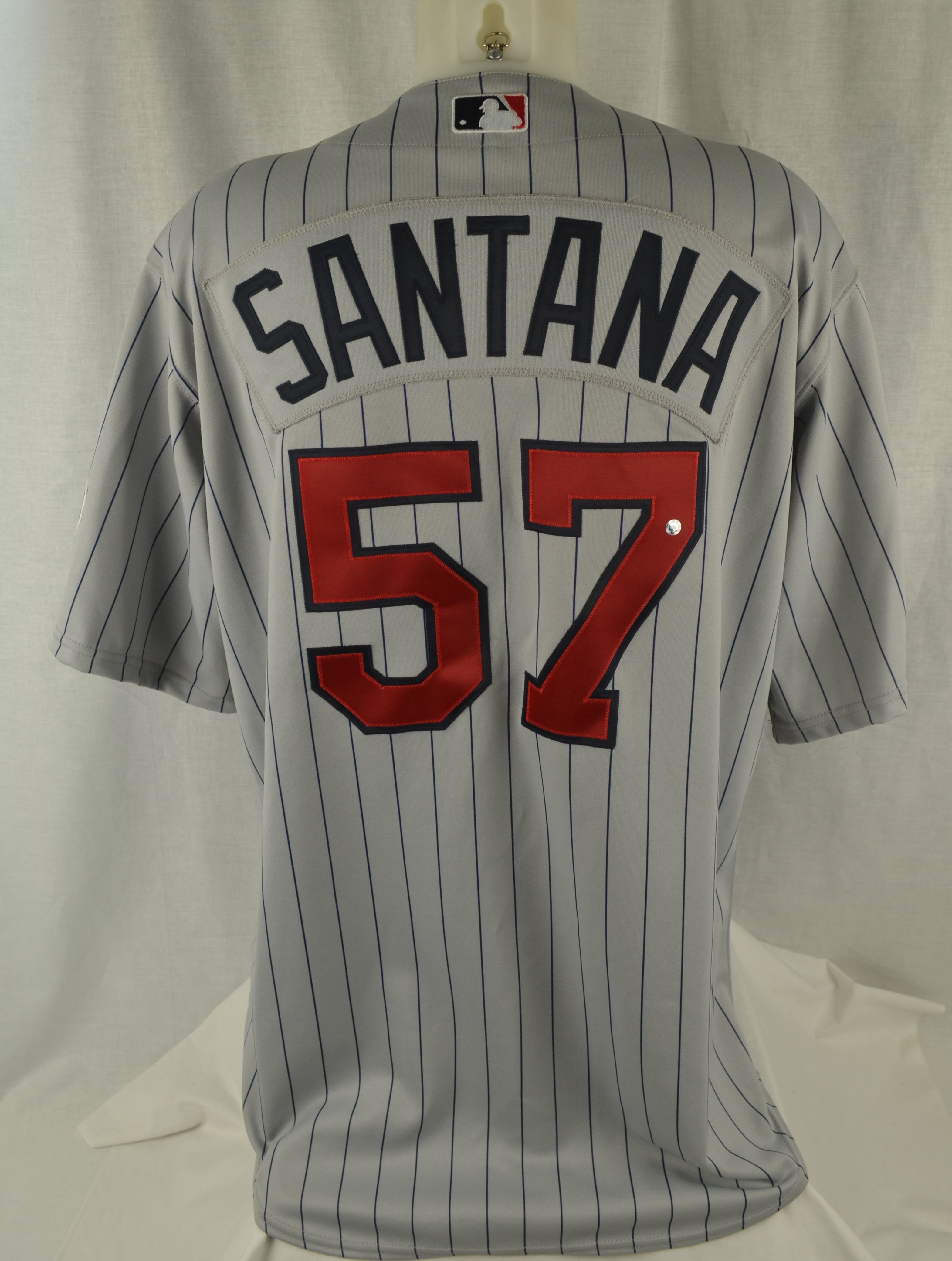 Lot Detail - Johan Santana 2006 Minnesota Twins Professional Model Jersey  w/Medium Use MLB Authenticated