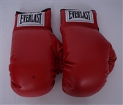 Set of 2 #10 Boxing Gloves