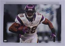 Adrian Peterson Autographed & Inscribed 16x24 Minnesota Vikings Canvas Beckett