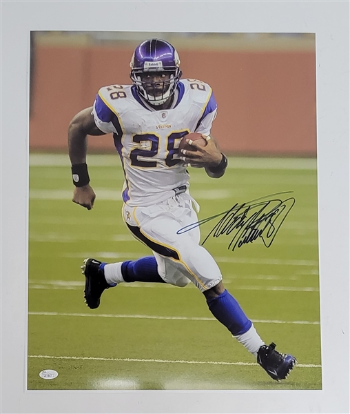 Adrian Peterson Autographed Minnesota Vikings 16x20 Photo JSA