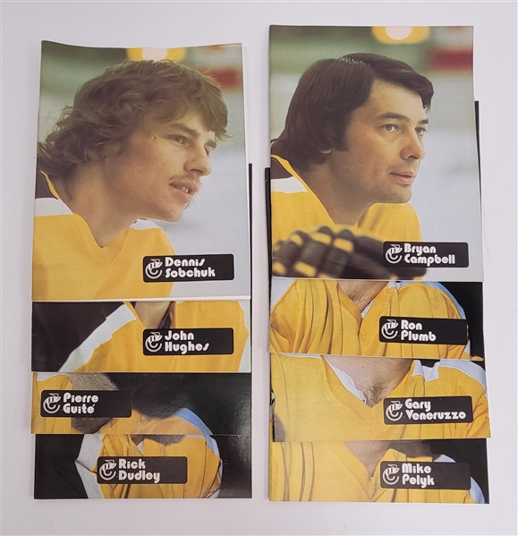 Lot of (8) 1975-76 Cincinnati Stingers Programs