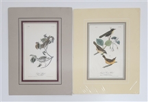 Lot of 2 John James Audubon Birds of America Royal Octavo Hand Painted Lithographs