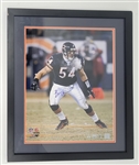 Brian Urlacher Autographed & Framed 16x20 Photo 