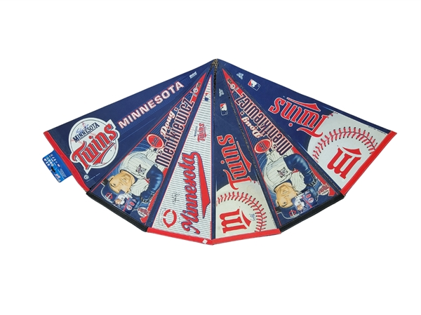 Lot of 6 Minnesota Twins Pennants