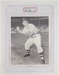 Harmon Killebrew 1961 Mannys Baseball Land 8x10 Photo PSA 4