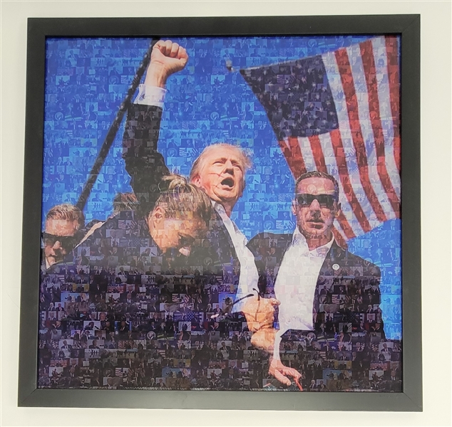 Donald Trump Photo Mosaic Framed 25x25 Display