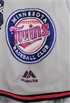 Eddie Rosario 2019 Minnesota Twins Game Used Playoff Jersey MLB