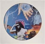 Prince & The New Power Generation Limited Edition Picture Disc