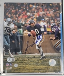 Lot of 6 Minnesota Sports Autographed 8x10 Photos w/ Fran Tarkenton Beckett
