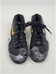 Game Used Basketball Shoes